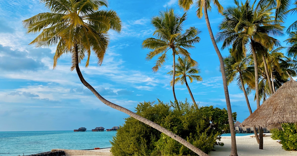 Traditional Amerindian dance performance during Heritage Month