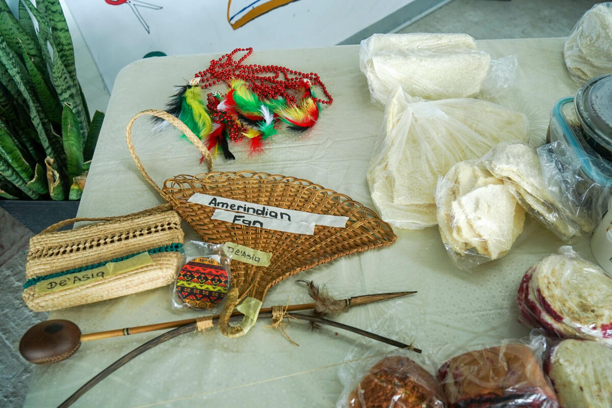 Conservation volunteering and eco-tourism in Guyana