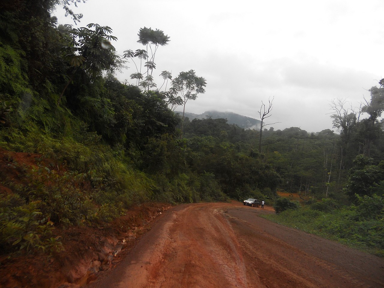 Georgetown to Lethem road Guyana