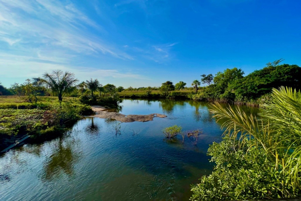 Vast Rupununi savannah grasslands stretching to the horizon