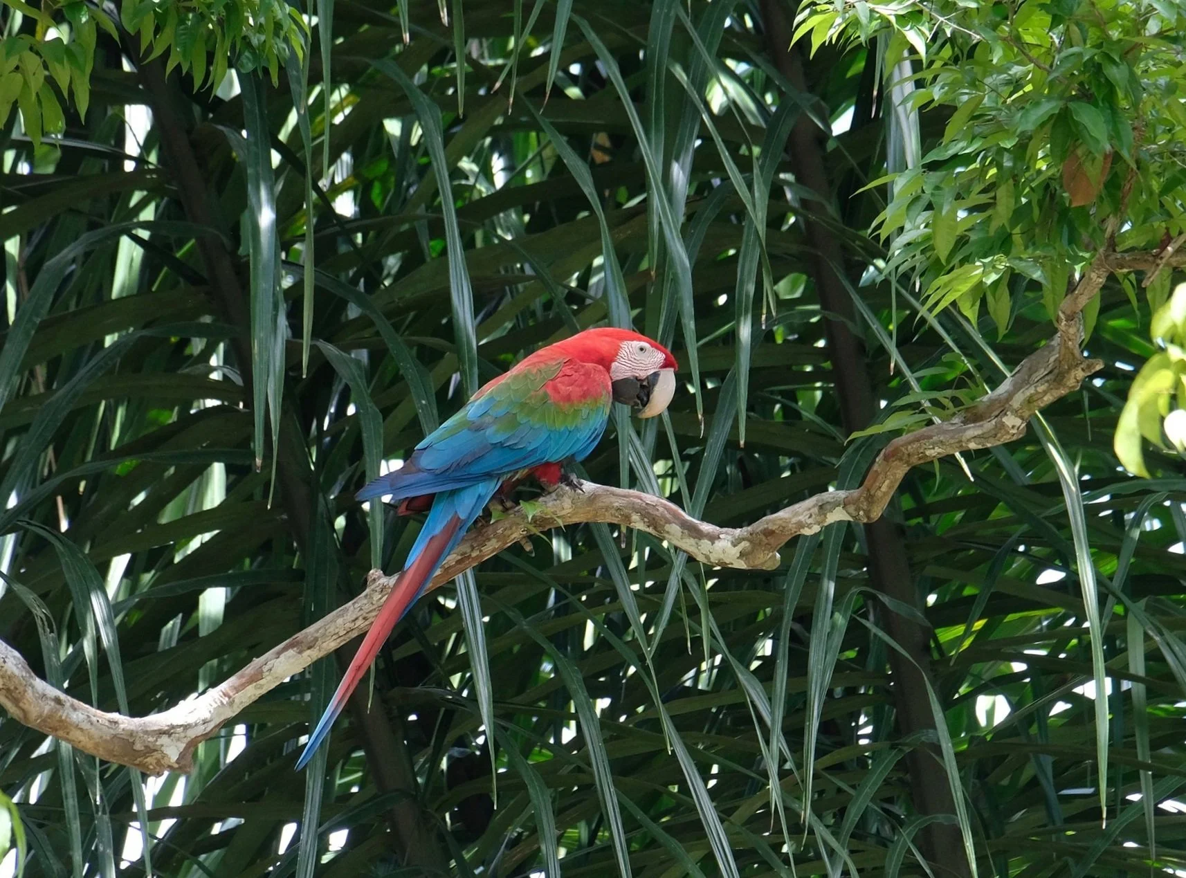Bird watching at Rewa, with over 800 species in the region