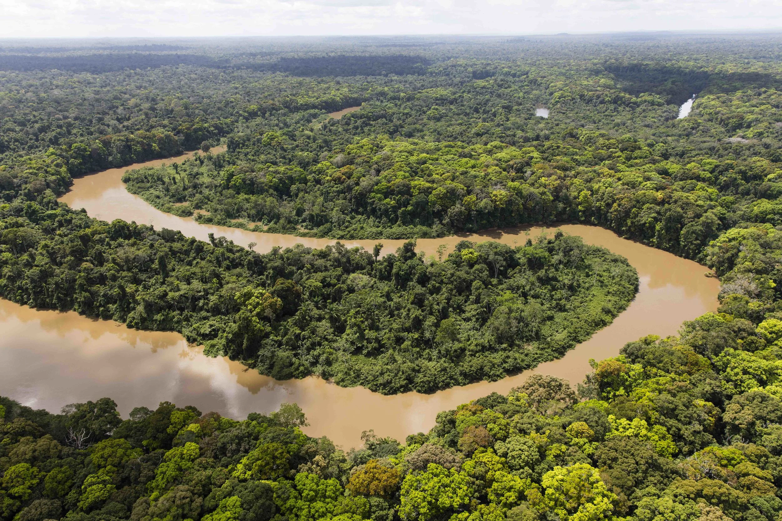 Rewa Eco-Lodge at the confluence of the Rewa and Rupununi rivers