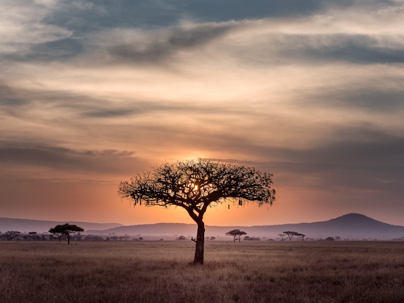 Rupununi savannah landscape near Surama Eco-Lodge